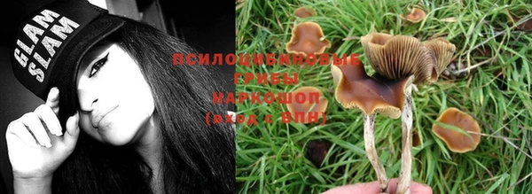 гашишное масло Осинники
